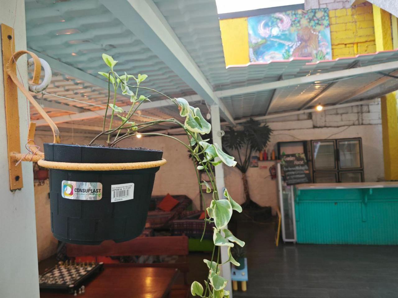 Garden House Hostal Baños Zewnętrze zdjęcie
