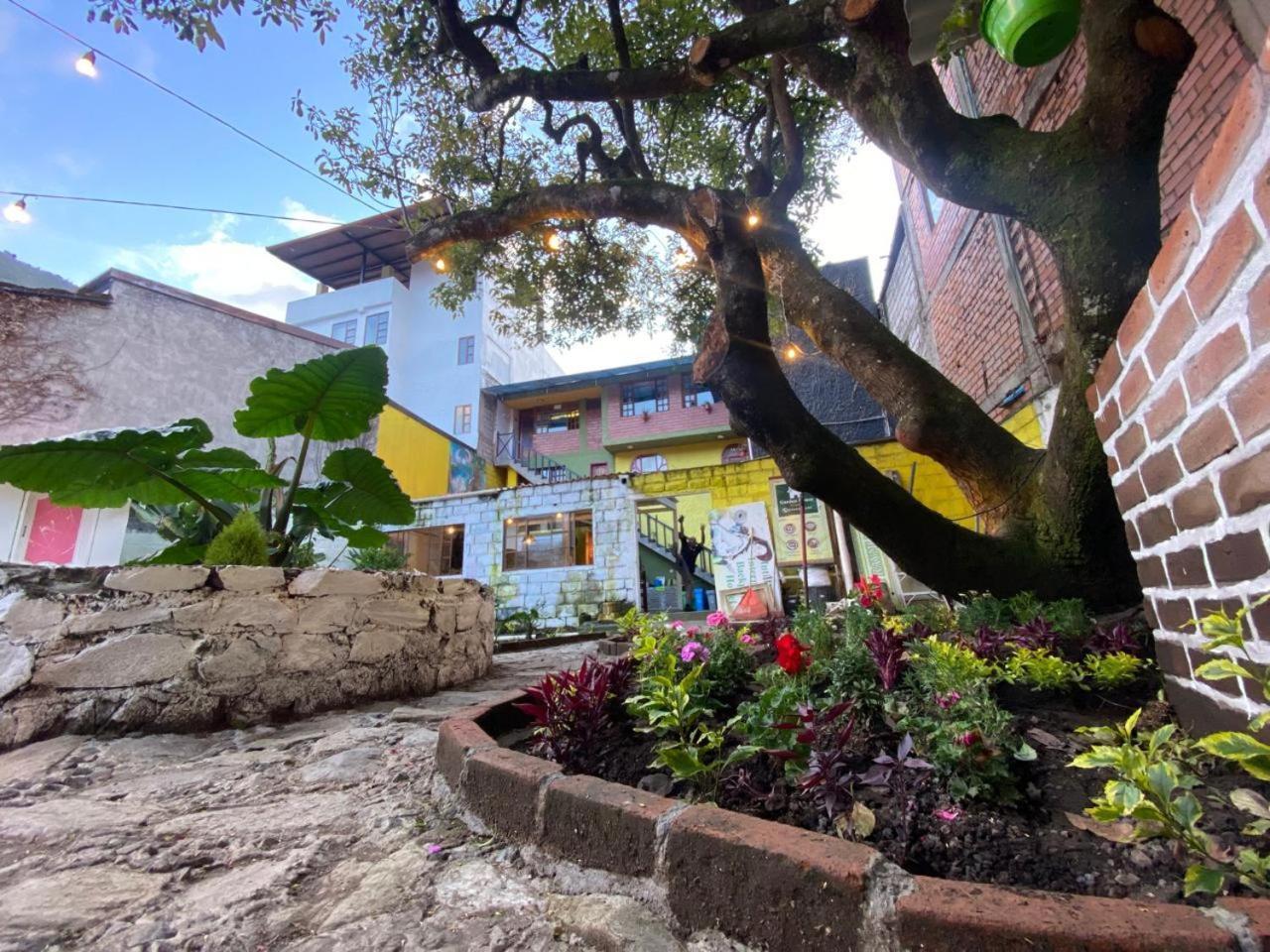Garden House Hostal Baños Zewnętrze zdjęcie