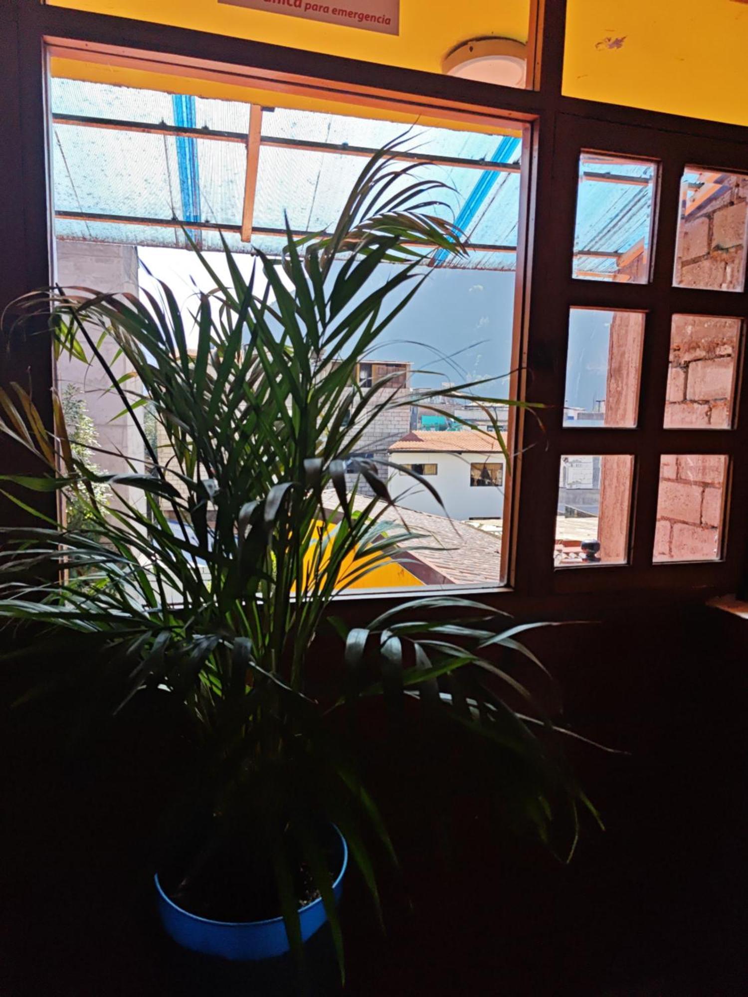 Garden House Hostal Baños Zewnętrze zdjęcie